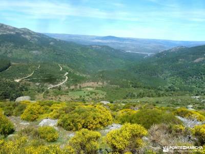 Reserva Natural Valle Iruelas-Pozo de la nieve;findes montes de leon molino de la hoz el jerte